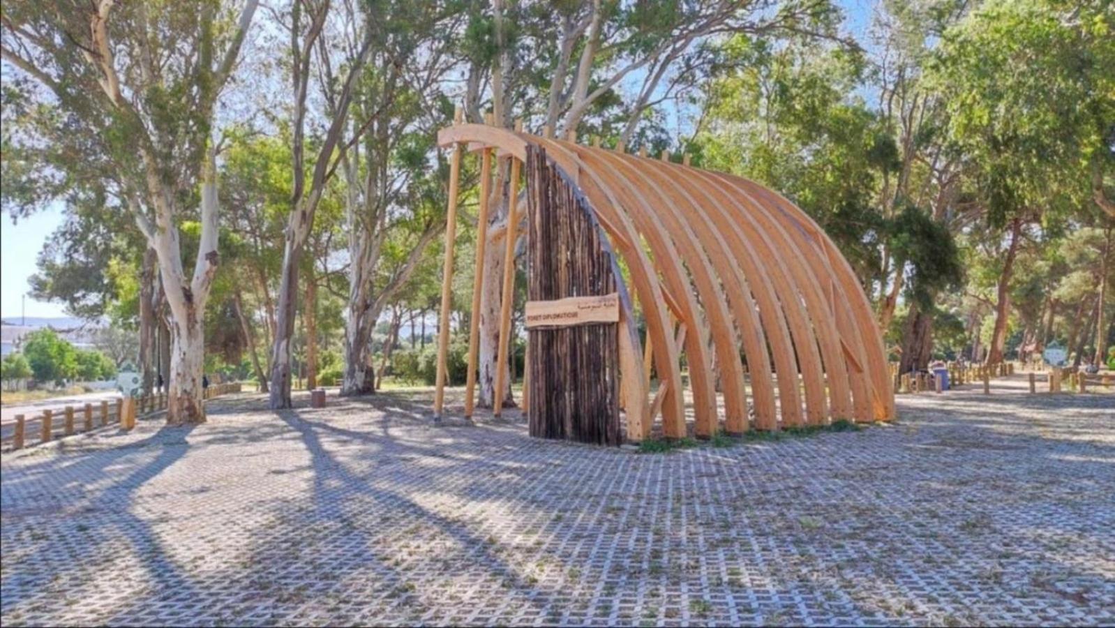 Charming, Peaceful House, Between Forest And Sea แทนเจียร์ ภายนอก รูปภาพ